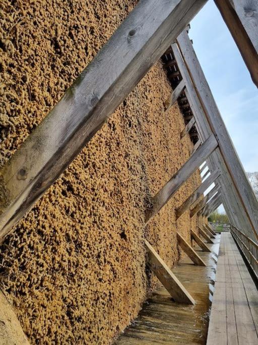 Ferienwohnung Direkt Am Kurpark Mit Gradierwerk Solestadt Bad Dürrenberg Eksteriør bilde